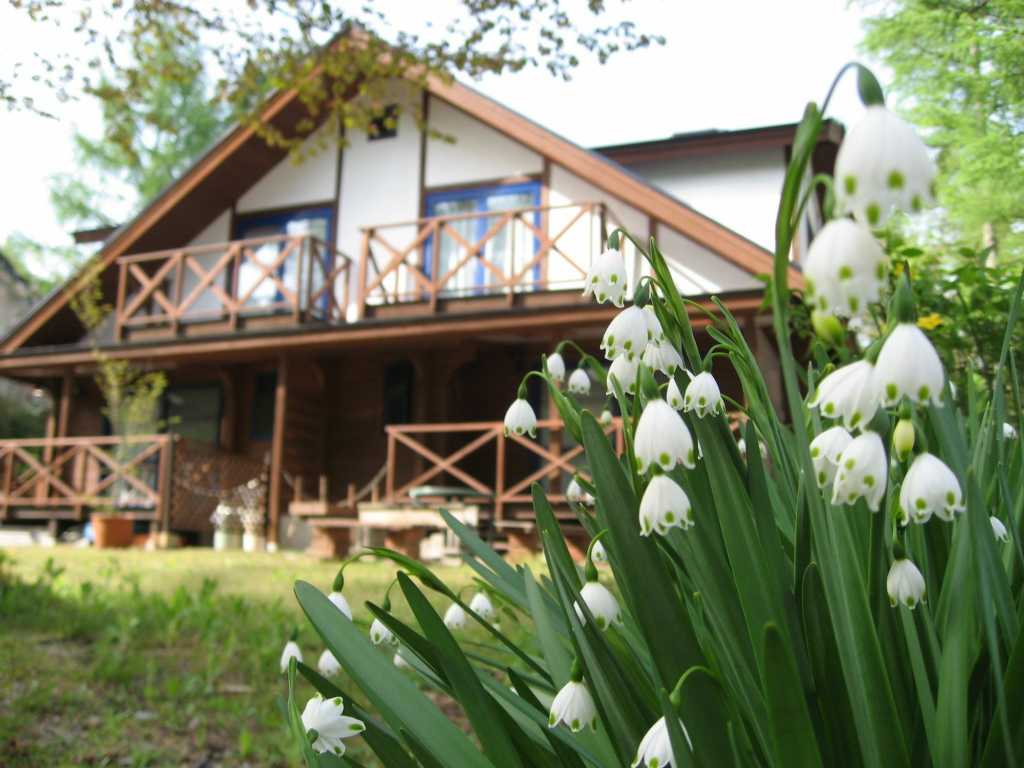 Hakuba Megeve Villa ภายนอก รูปภาพ